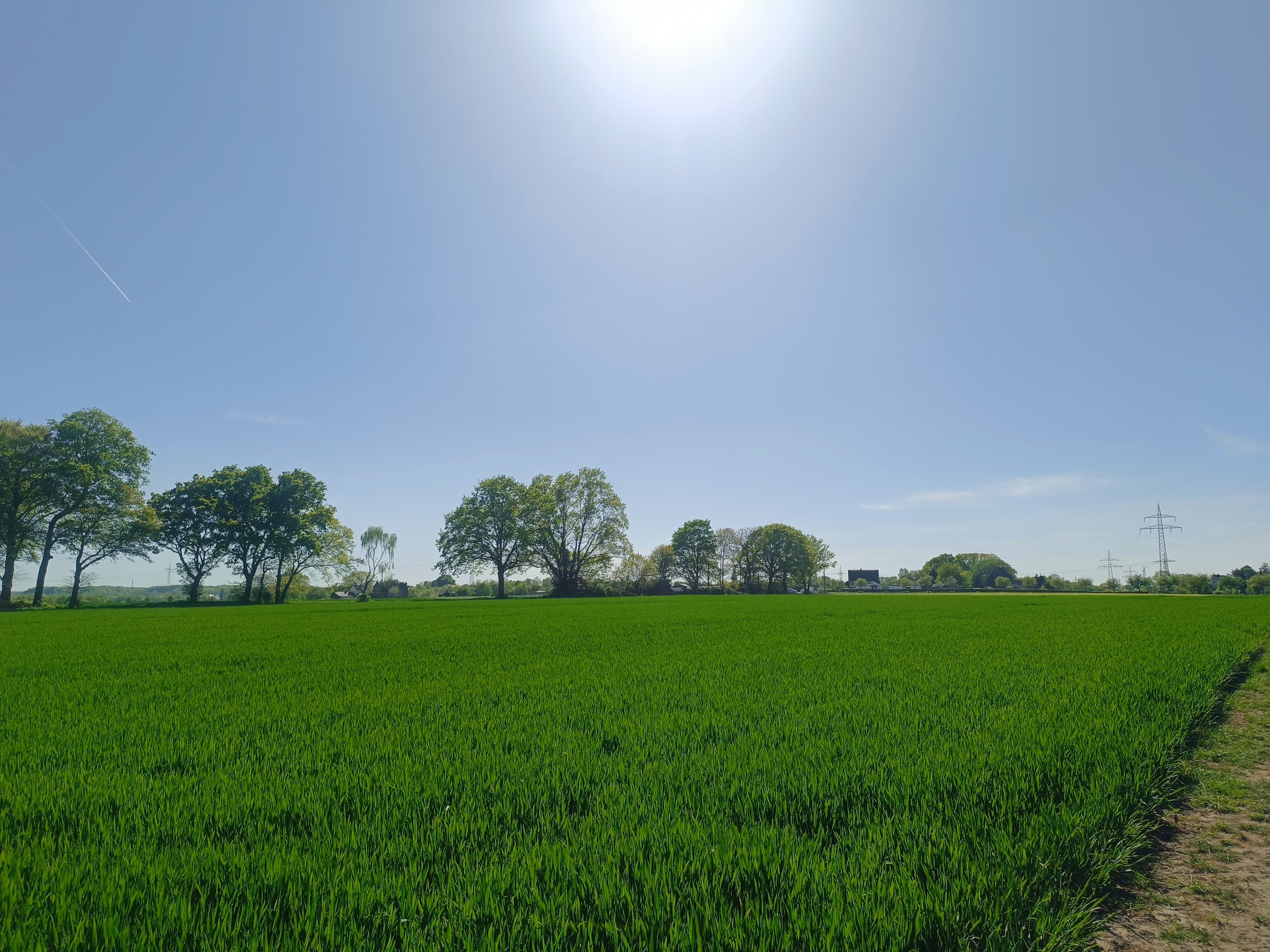Foto von Wald & Feldmix Brechten, hochgeladen von Matti _fpvfpv
