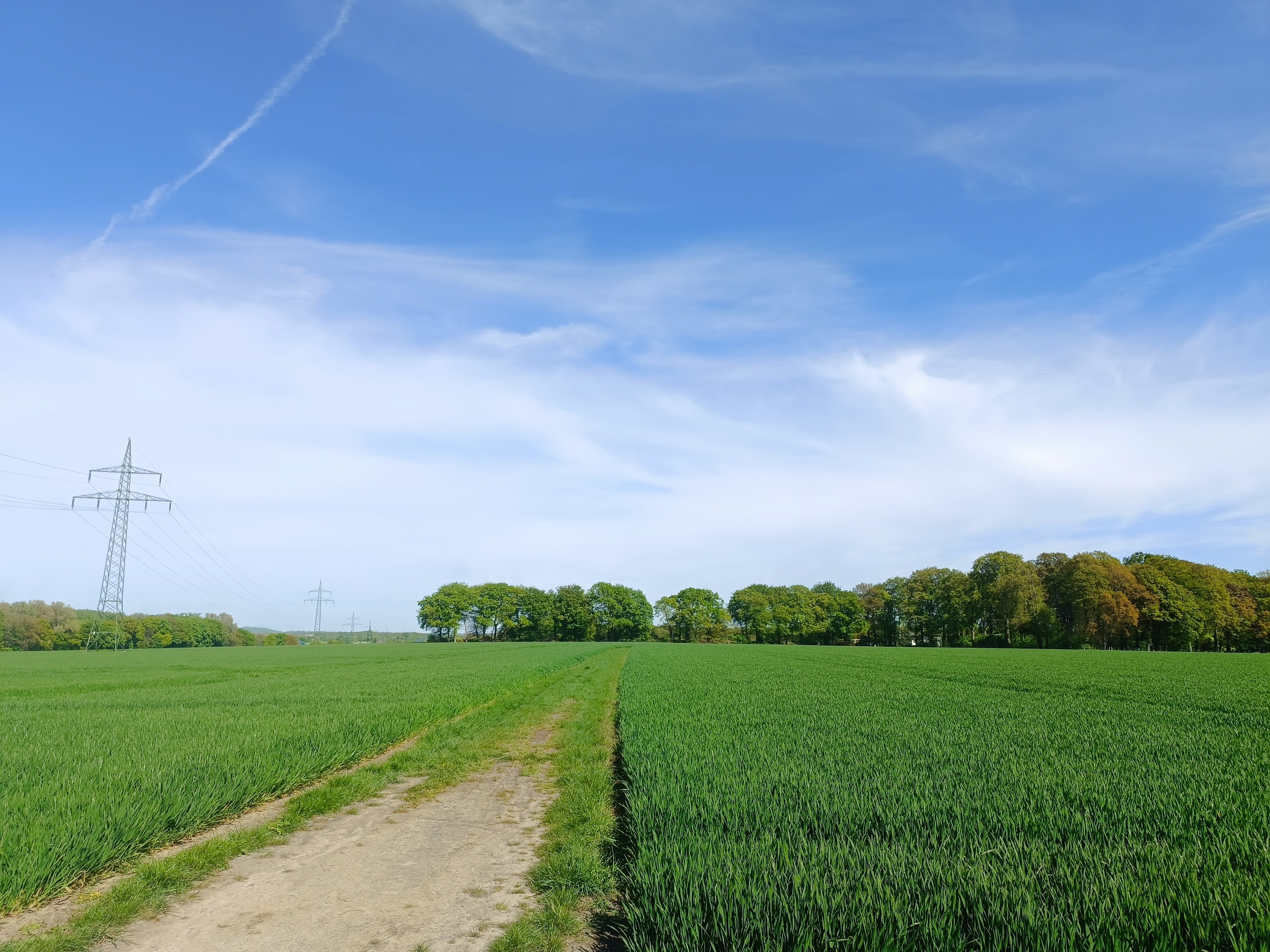 Foto von Wald & Feldmix Brechten, hochgeladen von Matti _fpvfpv