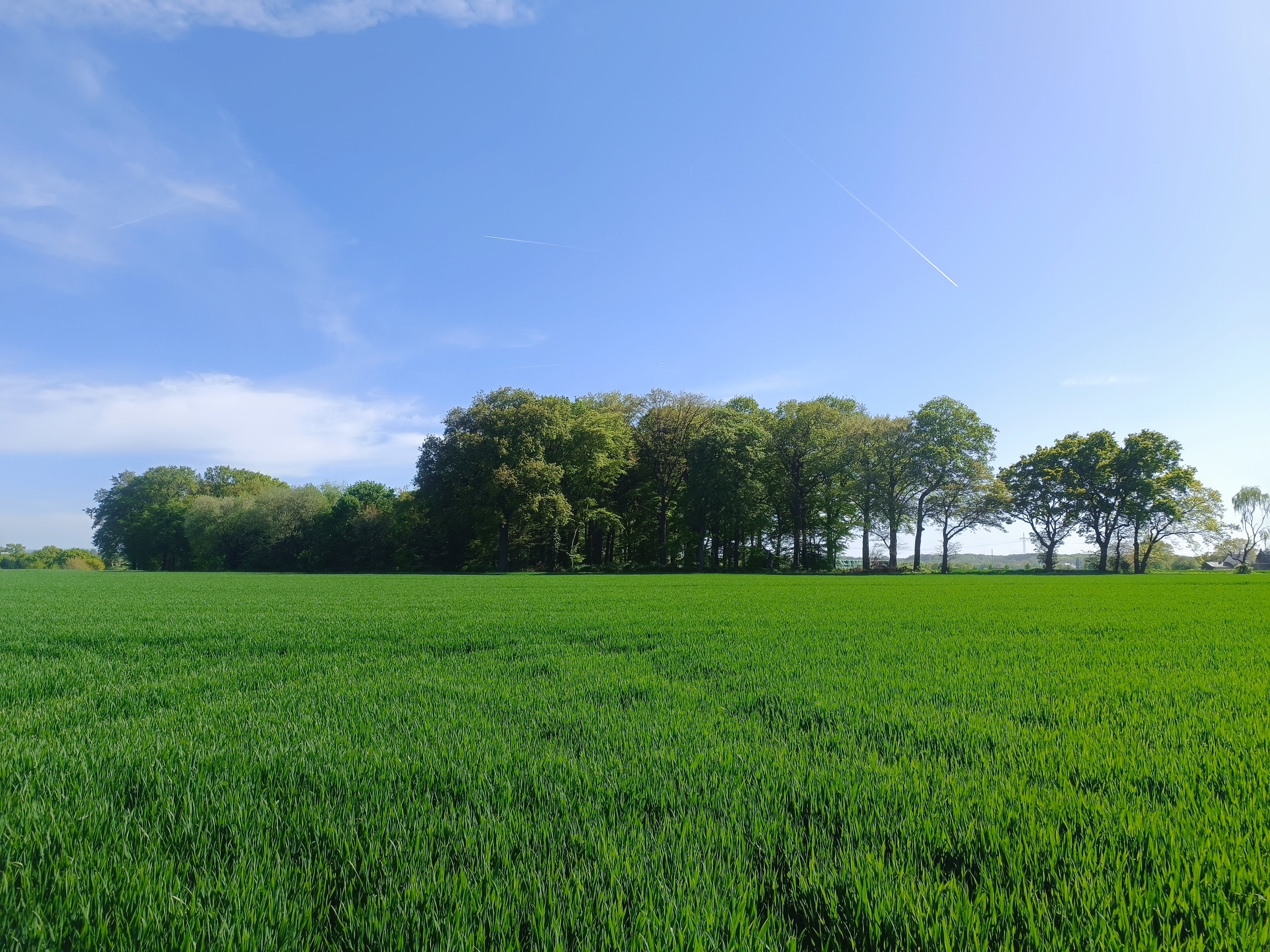 Foto von Wald & Feldmix Brechten, hochgeladen von Matti _fpvfpv